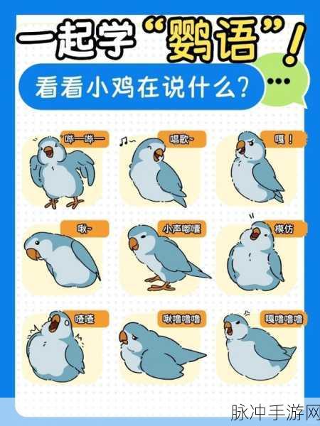 养鸟大亨，打造你的梦幻鸟语乐园放置养成攻略