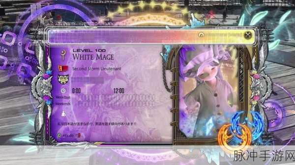 FF14零式绝本职业优先级全解析,DK高难指定唯一神,自嗨却是最大输家