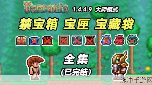 泰拉瑞亚宝箱,解锁探险者的神秘宝库全攻略