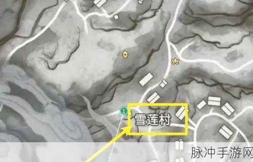 永劫无间手游火罗国雪莲寻觅指南,火罗国雪莲位置全面解析