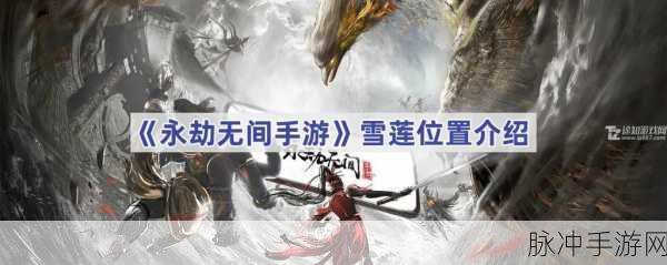 永劫无间手游火罗国雪莲寻觅指南,火罗国雪莲位置全面解析