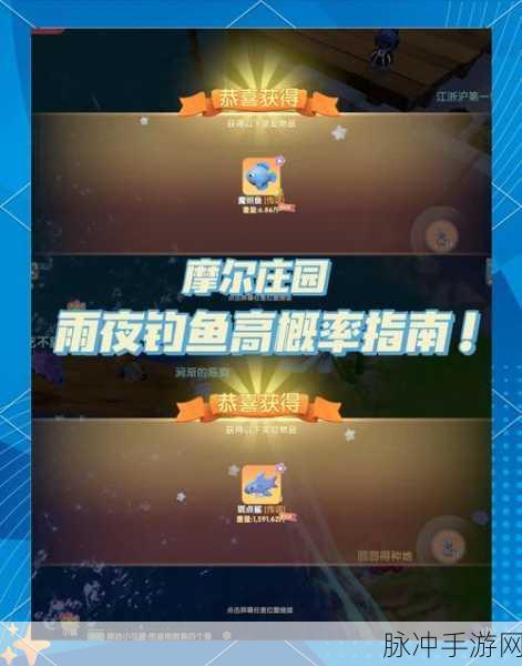 摩尔庄园手游深度攻略,摩尔拉雅山雨夜垂钓指南