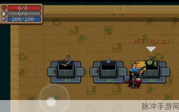 元气骑士仙人掌是否为永久物品,深度解析与实战探讨