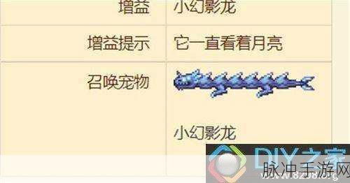 泰拉瑞亚小动物香波获取全攻略,解锁召唤物的多彩世界