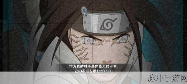 火影忍者OL手游深度攻略,宁次忍者技能全剖析与实战策略指南