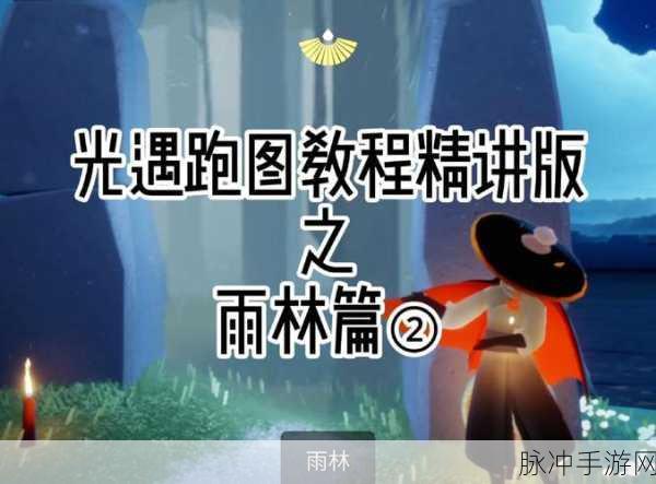 光遇雨林赏花任务全攻略,如何优雅地完成每一次赏花之旅