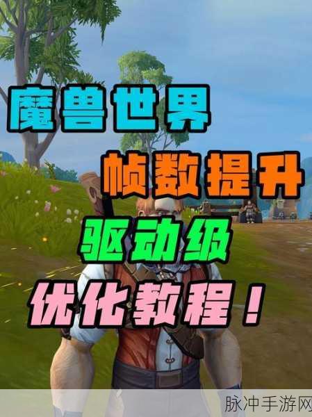 魔兽帧数设置全攻略,全面提升魔兽世界帧数表现的设置技巧与建议