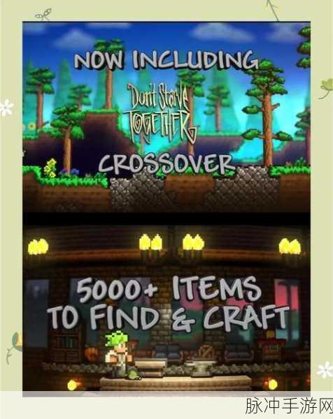 泰拉瑞亚手游联机攻略,与好友共赴奇幻世界的详细方法