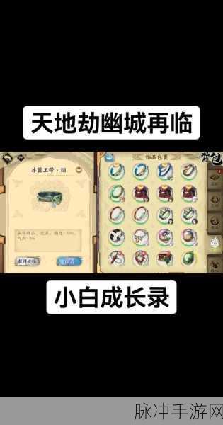 天地劫,幽城再临云衣宫主饰品搭配深度攻略