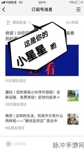 手游攻略,星标好友设置与小星星装饰全解析