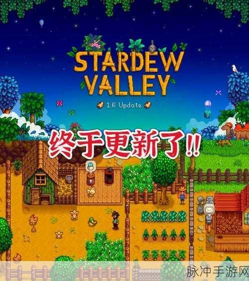 Switch版星露谷物语最新更新详解,探索乡村生活的无限可能