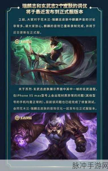 王者荣耀瑞麟志下架时间深度解析，稀有皮肤的收藏与价值