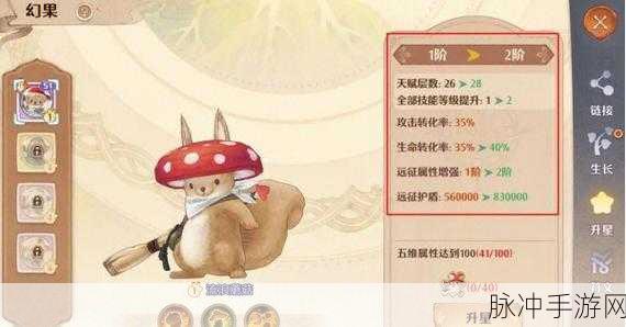 森之国度金猫选择指南,深度解析品种特性、技能搭配与最新养成攻略