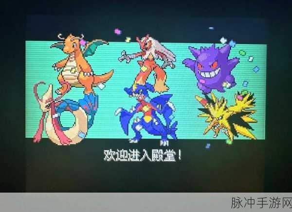 口袋妖怪漆黑的魅影,深入探索灯笼鱼的进化之旅