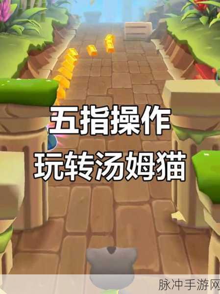 奔跑小猫,趣味放置跑酷闯关挑战全攻略