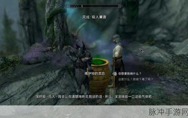 上古卷轴5手游攻略，双手与双持，哪种发展路径更胜一筹？