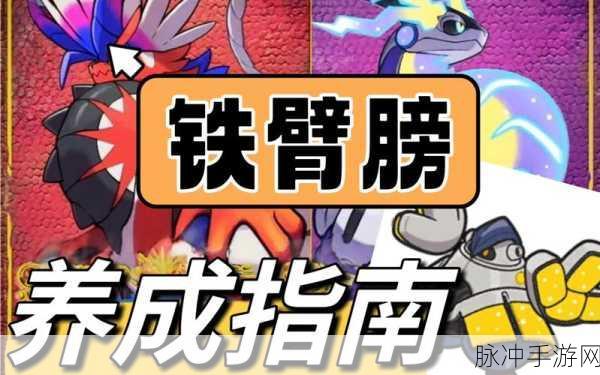 宝可梦朱紫手游攻略，铁臂膀如何掌握腹鼓技能