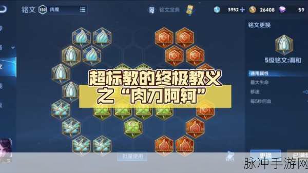 王者荣耀阿轲铭文搭配推荐深度解析