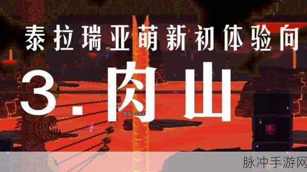 泰拉瑞亚肉山后全面攻略，解锁新挑战与发展方向深度解析