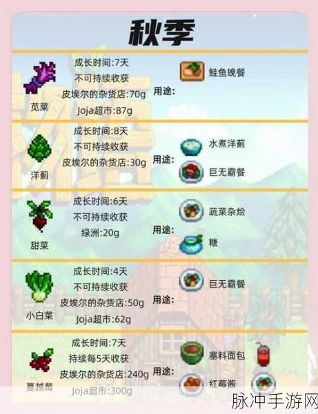星露谷物语，深度攻略——修复土地，重拾田园之美