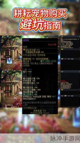 DNF手游攻略,探究神圣宠物胶囊能否封装13年春节礼包宠物