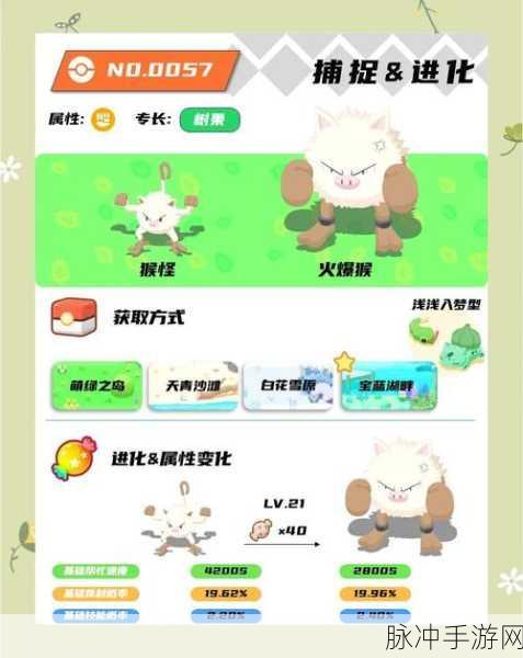 口袋妖怪复刻火爆猴性格深度解析,打造战斗与培养的双重优选