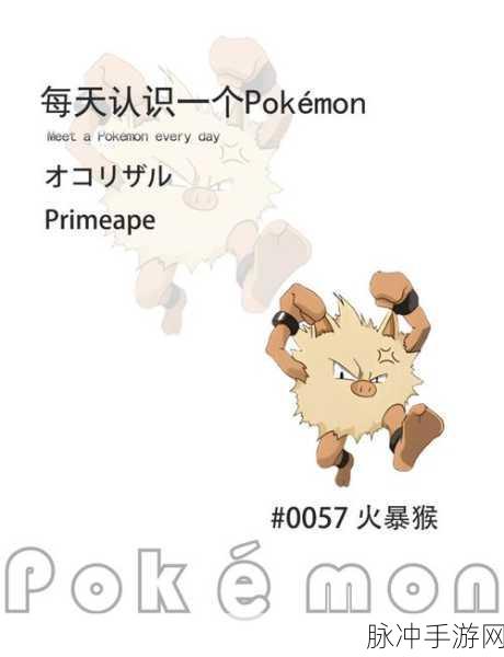 口袋妖怪复刻火爆猴性格深度解析,打造战斗与培养的双重优选