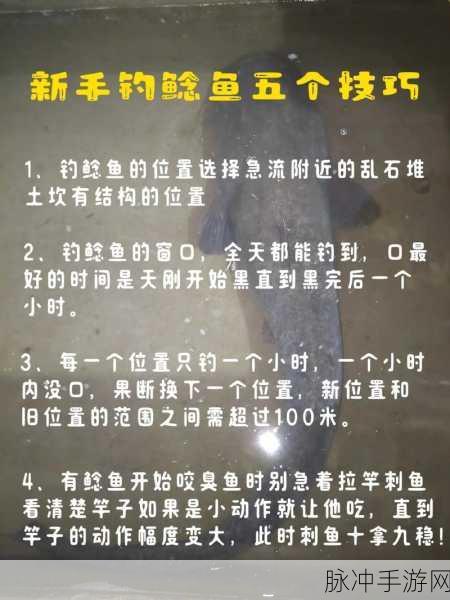 创造与魔法鲶鱼垂钓指南,最佳位置与技巧分享