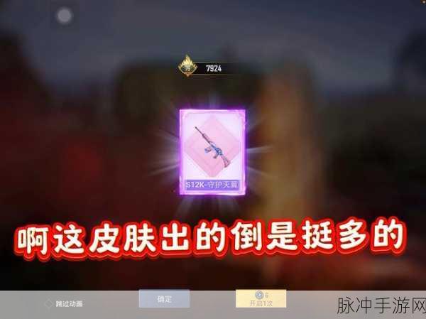 和平精英隐藏勋章全揭秘,探寻神秘勋章背后的秘密世界
