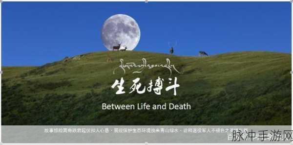 战魂西游震撼发布,重塑经典西游题材的动作格斗新体验详解