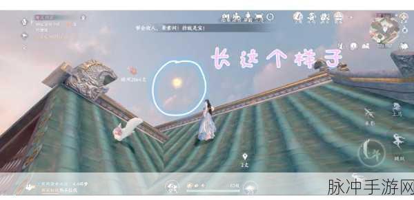 逆水寒手游汴京繁世绣球位置大全，全地图详尽探索指南