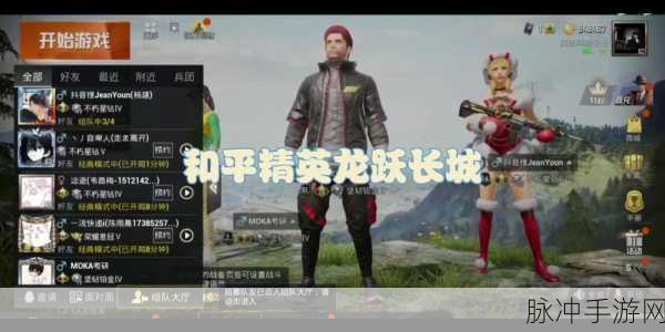 和平精英手游攻略,全面解析如何隐藏个人历史战绩