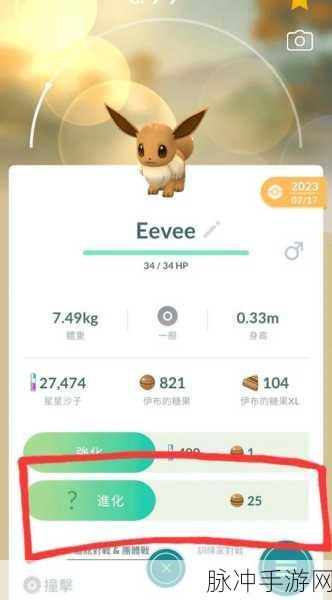 口袋妖怪究极绿宝石，岩狗狗全面解析与攻略