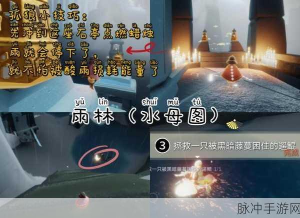 探索梦幻之旅，详解光遇中小王子梦境的进入方法