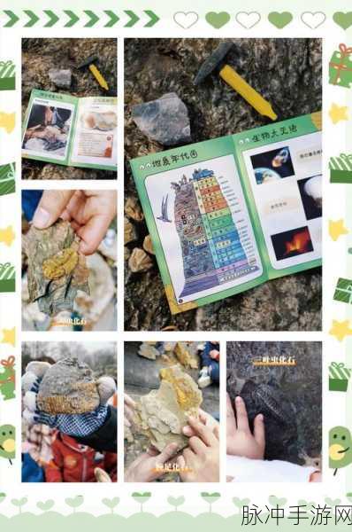 揭秘我的世界侏罗纪模组,化石挖掘全攻略