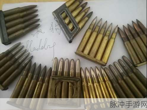CF手游步枪长弹夹天赋深度解析，提升战斗效能的必备技能图鉴