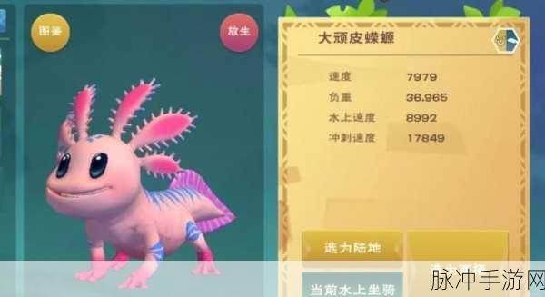 创造与魔法,深入探索顽皮蝾螈的神秘等级,揭秘魔法生物的奇幻成长之旅