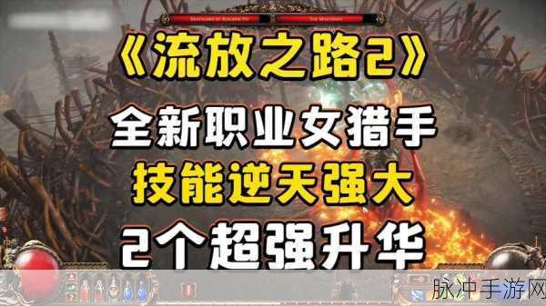流放之路深度攻略,掌握换升华技巧,开启你的不朽传奇之旅