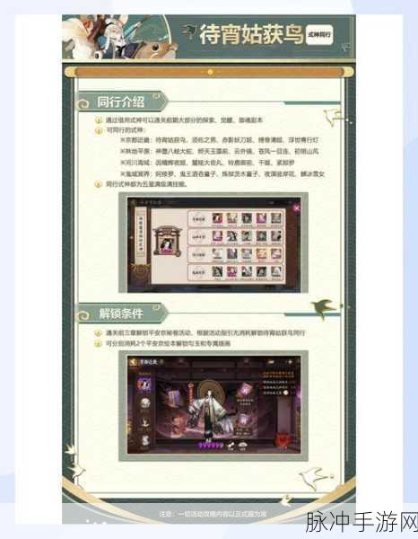 阴阳师SP式神深度探索,待宵姑获鸟神秘力量全解析