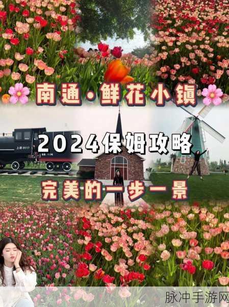 鲜花小镇，打造你的梦幻乐园，官网下载开启奇妙之旅
