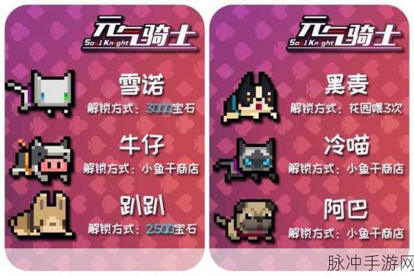 游戏元气骑士，揭秘哪些宠物最厉害