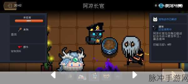 游戏元气骑士,揭秘哪些宠物最厉害