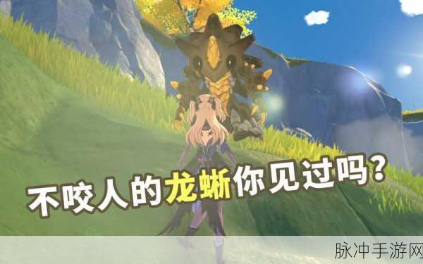 原神龙蜥寻踪讨伐岩龙蜥玩法全解析