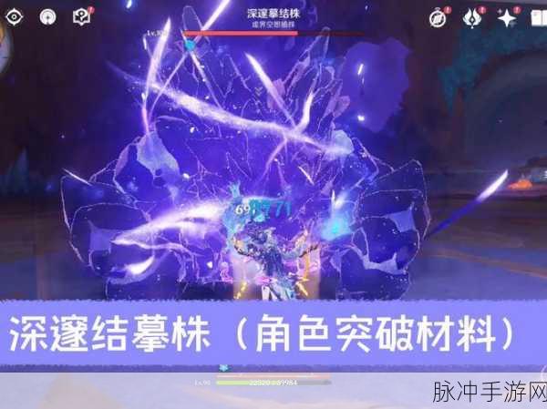 原神深邃之血,神秘作用及高效获取攻略详解
