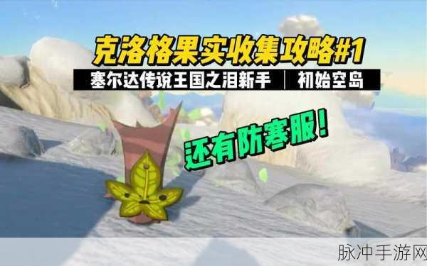 塞尔达传说王国之泪，克洛格的果实全攻略，解锁隐藏力量与获取秘籍