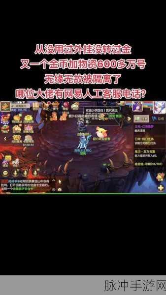 梦幻西游手游账号被隔离全面解析与应对策略
