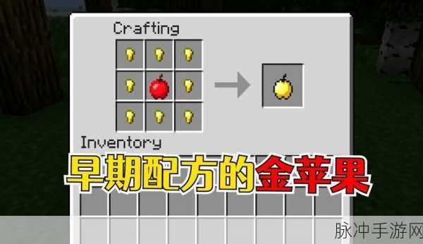 我的世界手游攻略,深度解析金粒的多样用途