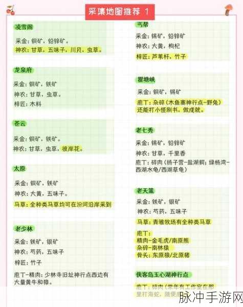 剑网3口袋版深度攻略，烹饪技能高效升级方法与技巧全面剖析