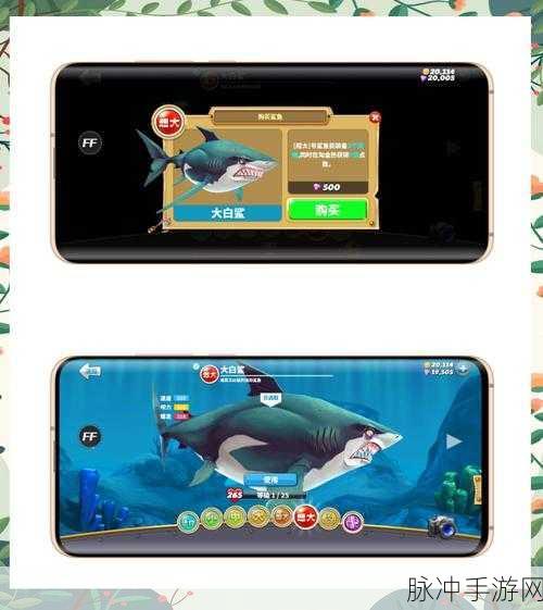 饥饿鲨竞技场,畅游快节奏的弱肉强食世界手游攻略