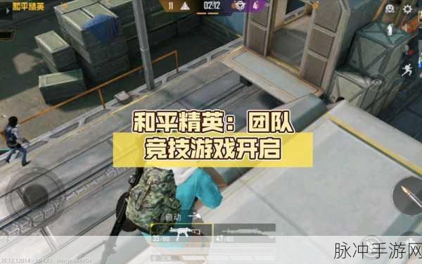 和平精英团队竞技深度评测，性能数据解析与实战应用全攻略